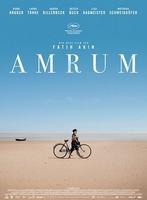 Plakatmotiv "Amrum"