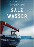 Plakatmotiv "Salz und Wasser - Mit der legendären Polarstern in die Antarktis"